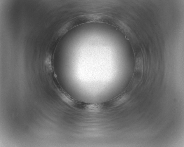 X0000071350238200607071732