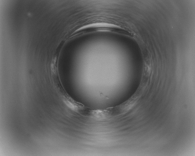 X0000071350239200607071732