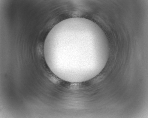 X0000071350240200607071732