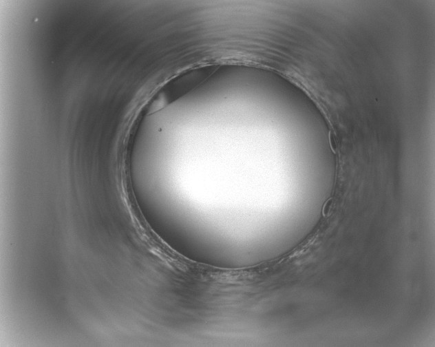 X0000071350241200607071731