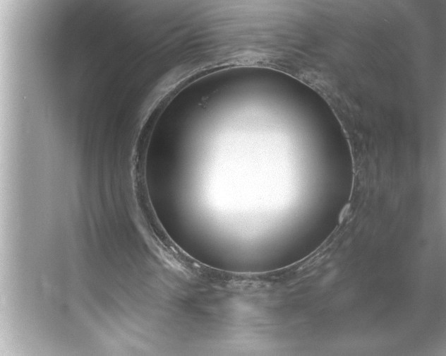 X0000071350242200607071731