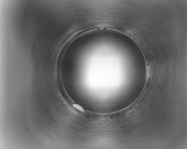 X0000071350243200607071731