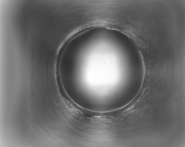 X0000071350244200607071731