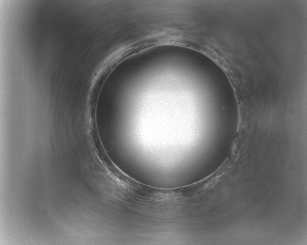 X0000071350245200607071731