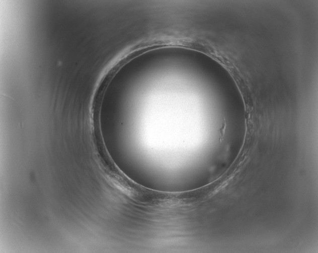 X0000071350246200607071731