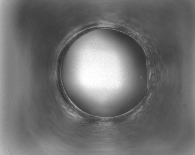 X0000071350247200607071731