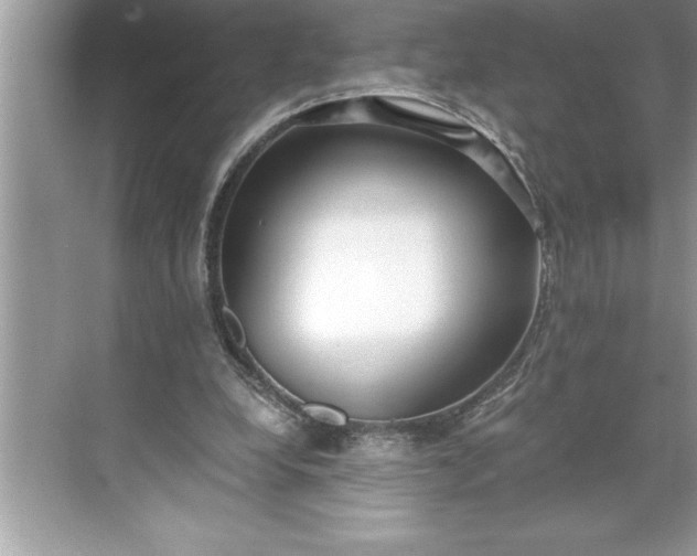 X0000071350248200607071731