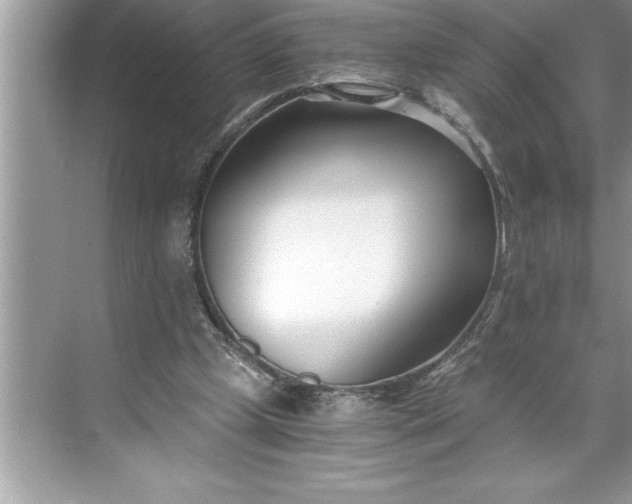 X0000071350249200607071731