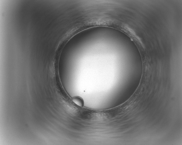 X0000071350250200607071731