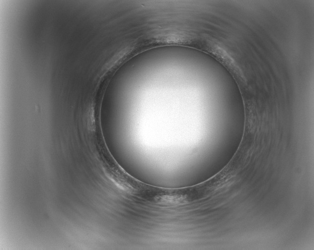 X0000071350251200607071731