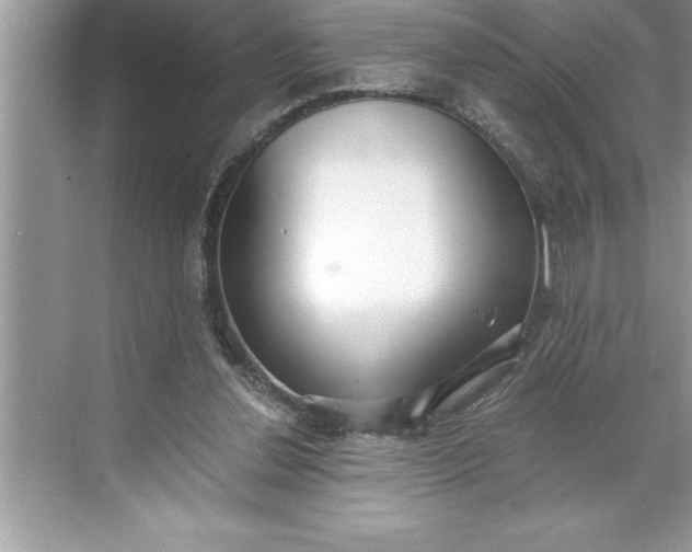 X0000071350252200607071731