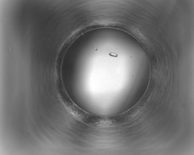 X0000071350256200607071731