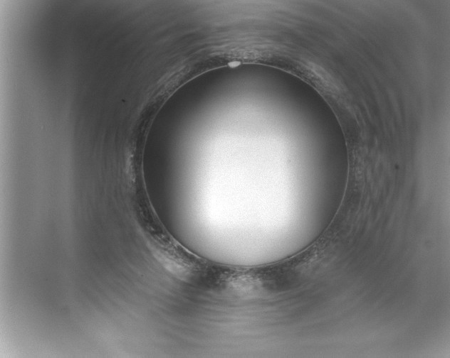 X0000071350258200607071731