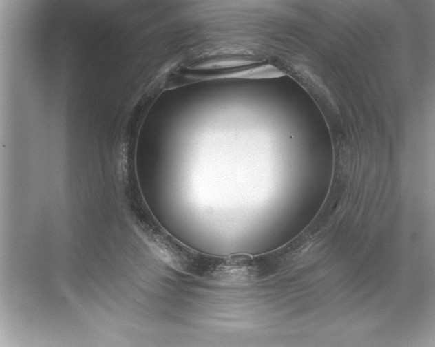 X0000071350260200607071731