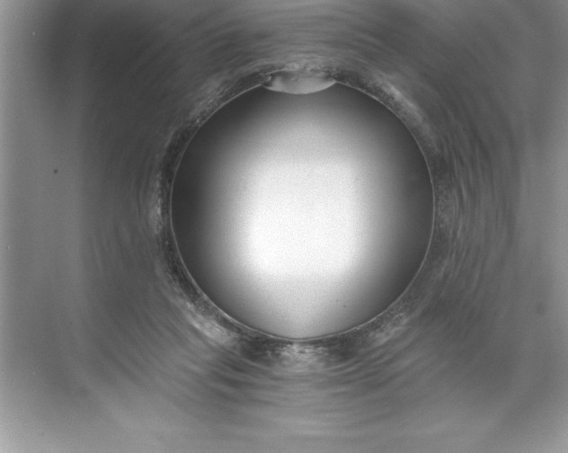 X0000071350261200607071731