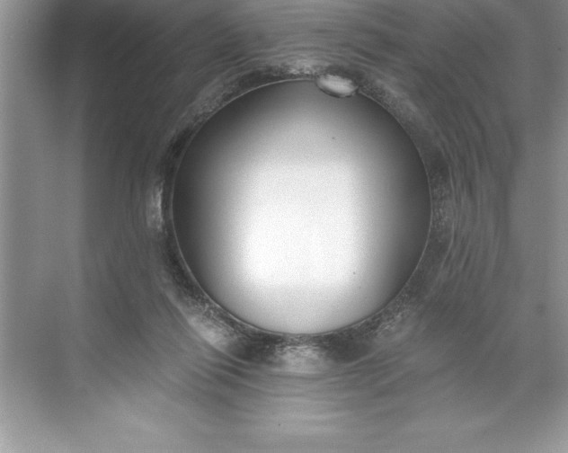 X0000071350262200607071731