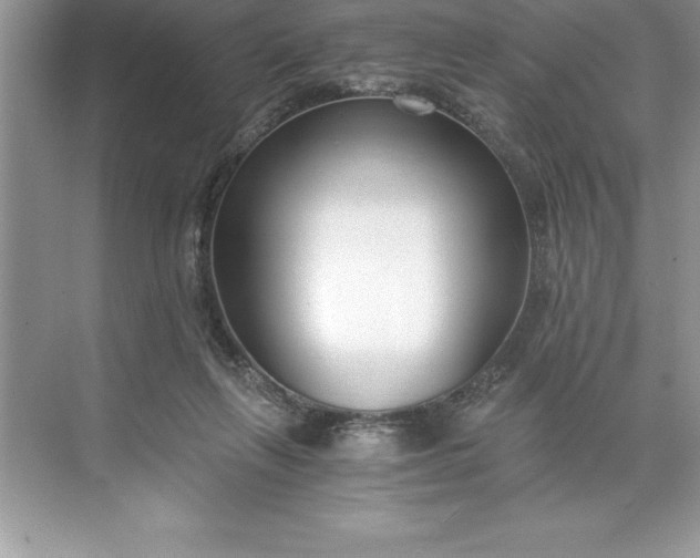 X0000071350263200607071731