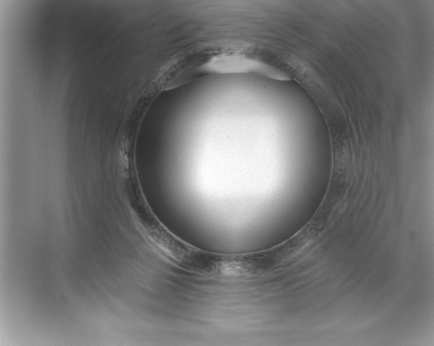 X0000071350264200607071731