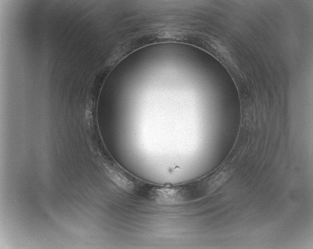 X0000071350265200607071732