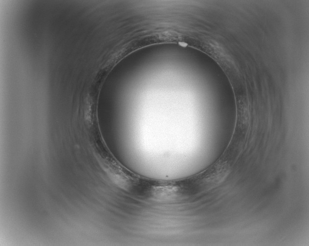 X0000071350266200607071732