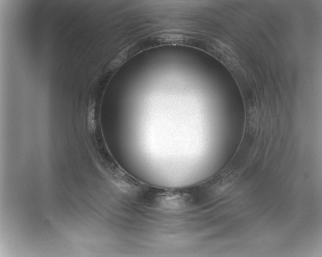 X0000071350267200607071732