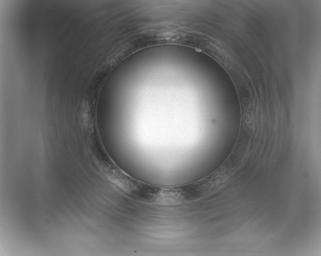 X0000071350270200607071732