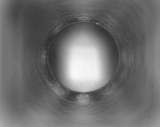 X0000071350271200607071732