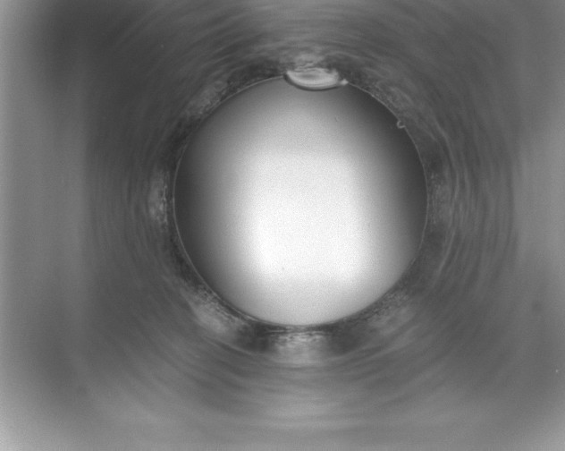 X0000071350274200607071732