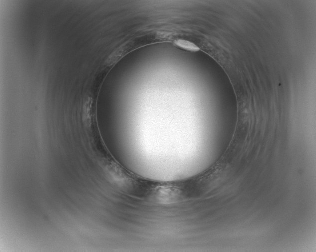 X0000071350275200607071732