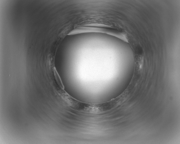 X0000071350276200607071732