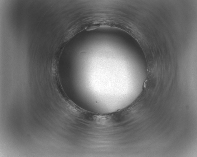 X0000071350277200607071732