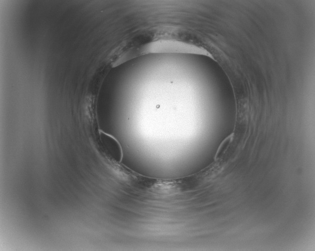 X0000071350280200607071732