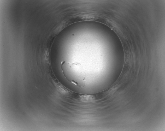 X0000071350281200607071732