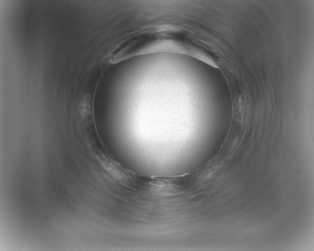 X0000071350284200607071732