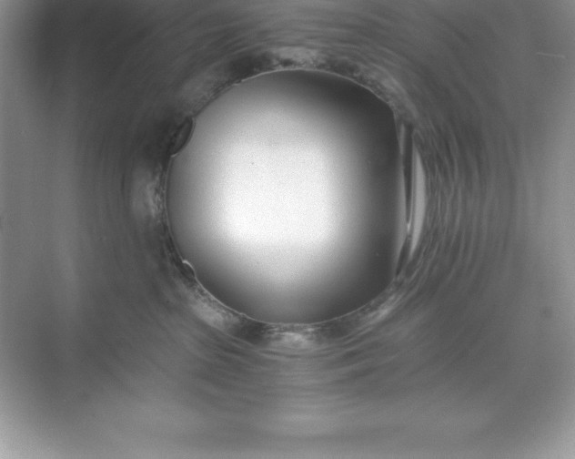 X0000071350285200607071732