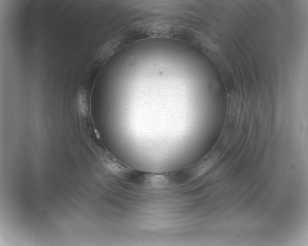 X0000071350287200607071732