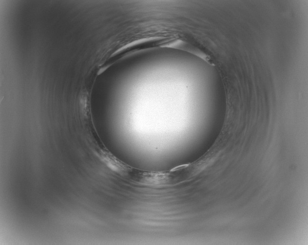 X0000071350288200607071732