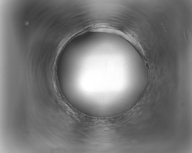 X0000071350289200607071731