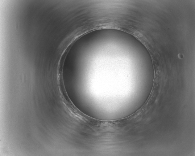 X0000071350290200607071731