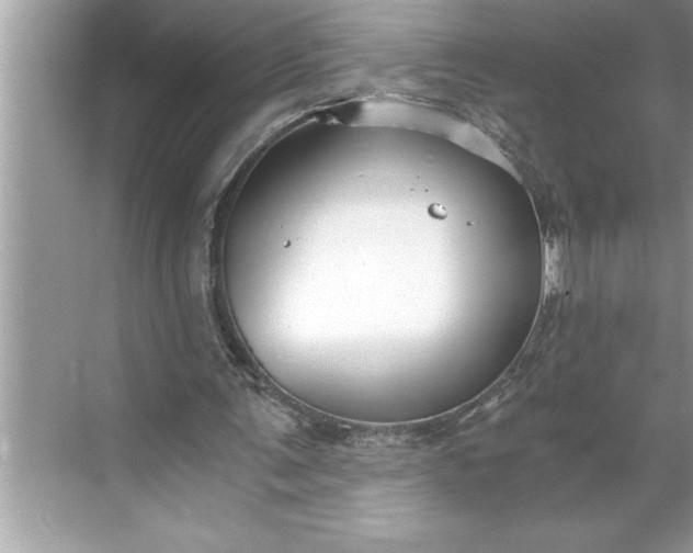 X0000071350291200607071731