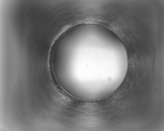 X0000071350292200607071731