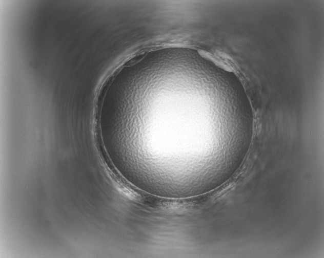 X0000071350293200607071731