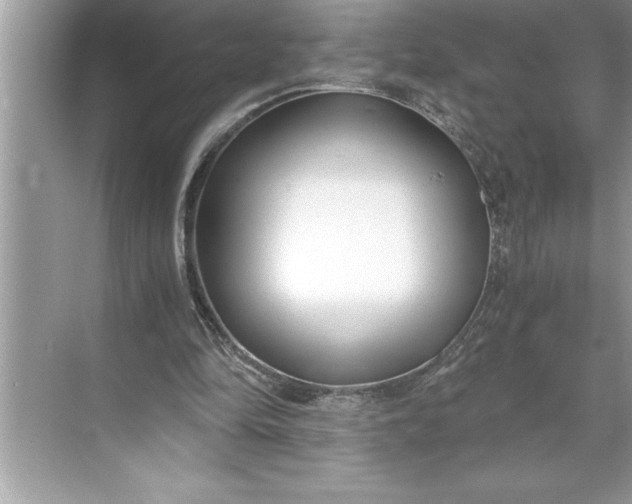 X0000071350294200607071731