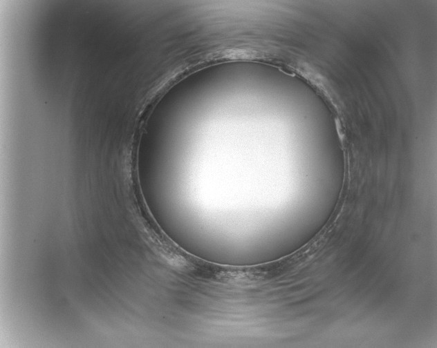 X0000071350297200607071731