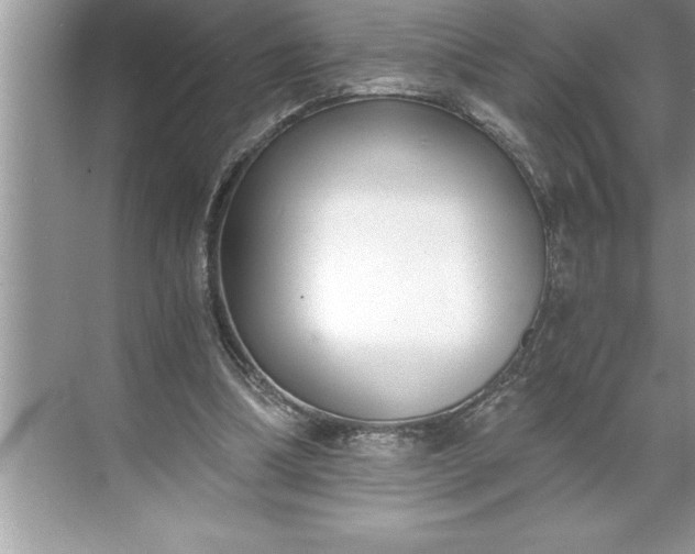 X0000071350298200607071731