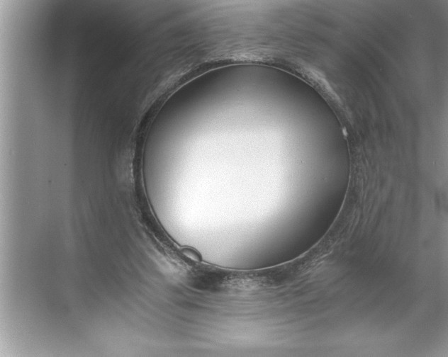 X0000071350299200607071731