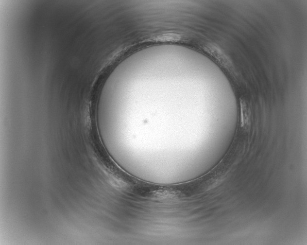 X0000071350300200607071731