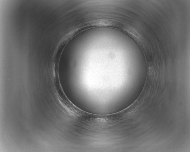 X0000071350302200607071731