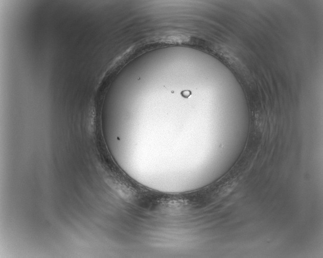 X0000071350304200607071731