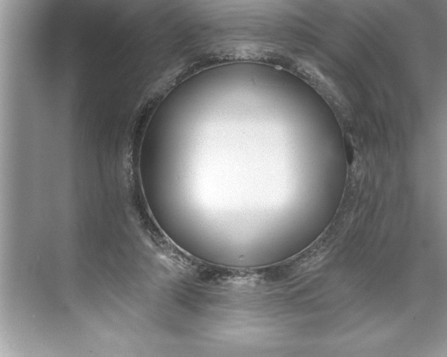 X0000071350306200607071731